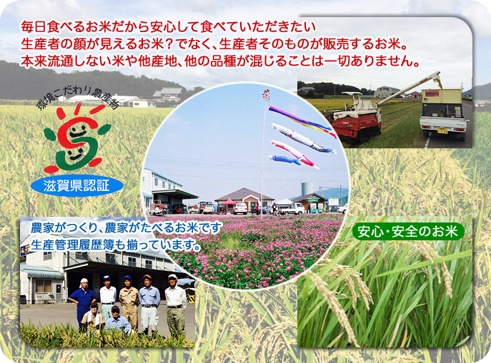 安心･安全のお米　毎日食べるお米だから安心して食べていただきたい　生産者の顔が見えるお米？でなく、生産者そのものが販売するお米。