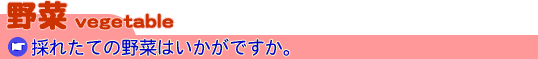 採れたての野菜はいかがですか。